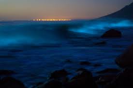 phosphorescence